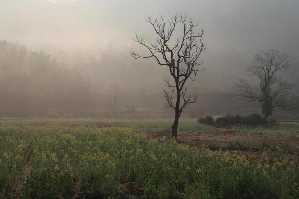 Yi (Anhui) Qingheyue Inn מראה חיצוני תמונה